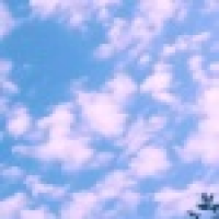 植发星355多项式