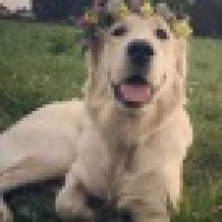 植发星520公交车上