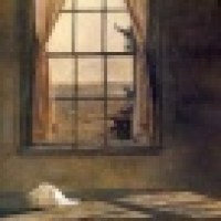 植发星5繁华落幕0