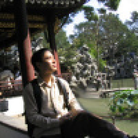 植发星7月饼14046速朴