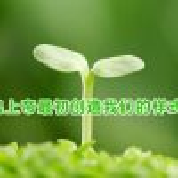 植发星9527来了没