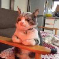 植发星9527窝窝202