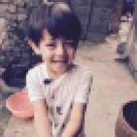 植发星aa123655444