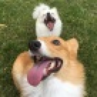 植发星acer左雪宁