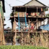 植发星appleapplemaggi