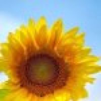 植发星asjcm1msUH5