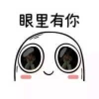 植发星A灰太狼99