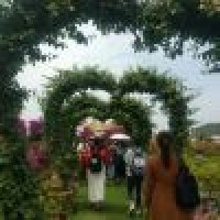 植发星Bboy鈫斿皬杞