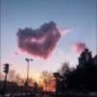 植发星caihong5255