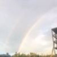 植发星cangqiong860