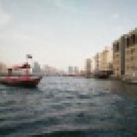 植发星caohuawei0822