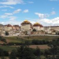 植发星chouflianga27