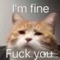 植发星claire米拉