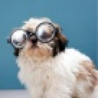 植发星concern6253585