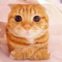 植发星congmingDEgo