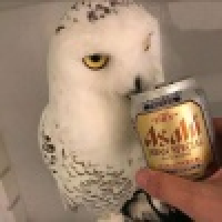 植发星GuoSiXing1314