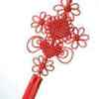 植发星leavenotrack