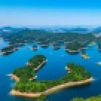 植发星pnulrfr65846