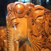 植发星qwuedzb68711