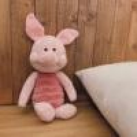 植发星neck机敏的z