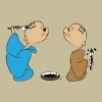 植发星pigwithoutl