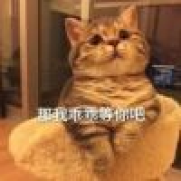 植发星QQ394484796