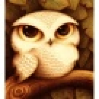 植发星kuaishan198