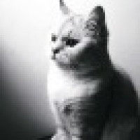 植发星oaHb9417oyo