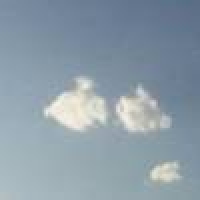 植发星Punk↗1290╯