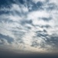 植发星shiweiwei77