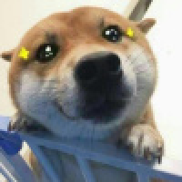 植发星ngpaudf52507