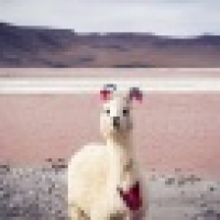 植发星euggquo17226