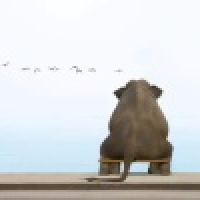 植发星QQ出乎意料