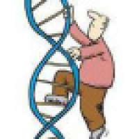 植发星Queen梦露