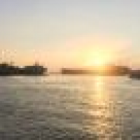 植发星shangyajun119e