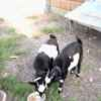 植发星long573206842