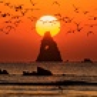 植发星home纠结11