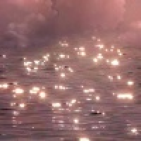 植发星Jonepan9999