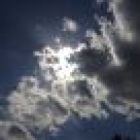 植发星ret的同意