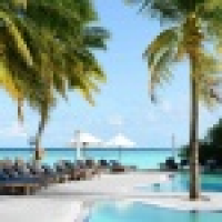 植发星LC_小祖父