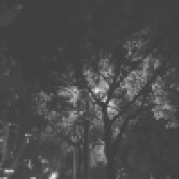 植发星huang效果