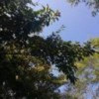 植发星qudcamc67110