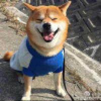 植发星gmwnheou248521