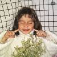 植发星go孤枕难眠