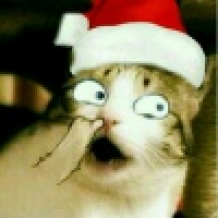 植发星evh1q4xf2nv