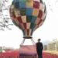 植发星guanhao1388