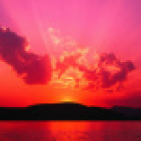 植发星Isabella丶小沐