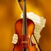 植发星liu85203750