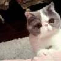 植发星marvelous76998