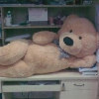 植发星lianhhpinga